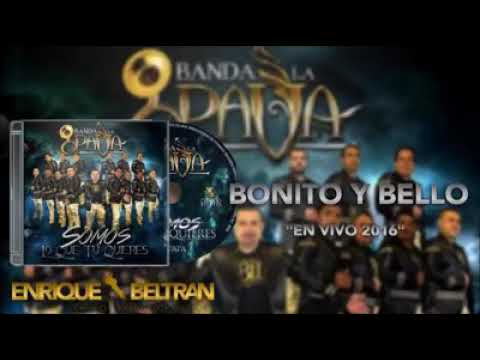 Bonito y bello banda la pava