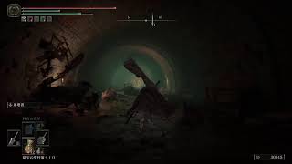 【ELDEN RING】初見エルデン本日もやってくッッ【エルデン リング】#37
