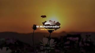 Download lagu Story wa sholawat hadroh 30 detik merdu||story wa hadroh kren terbaru mp3 Download lagu Story wa sholawat hadroh 30 detik merdu||story wa hadroh kren terbaru mp3