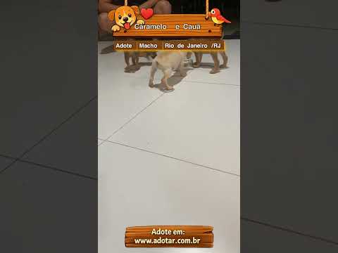 Vídeo de Caramelo e Cauã