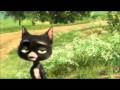 All Stars Cars Trailer