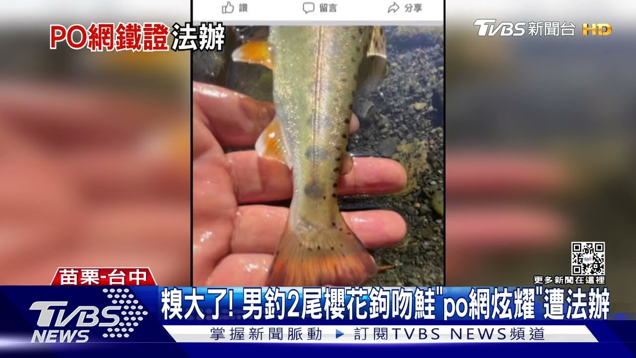 糗大了! 男釣2尾櫻花鉤吻鮭「PO網炫耀」遭法辦