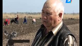 Как живется на Кубани иностранным фермерам