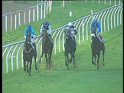 Galoppo 15/11/2017 - 5ª corsa