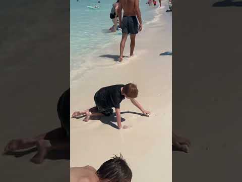 Thumbnail for Half Moon Cay Carnival Sunrise