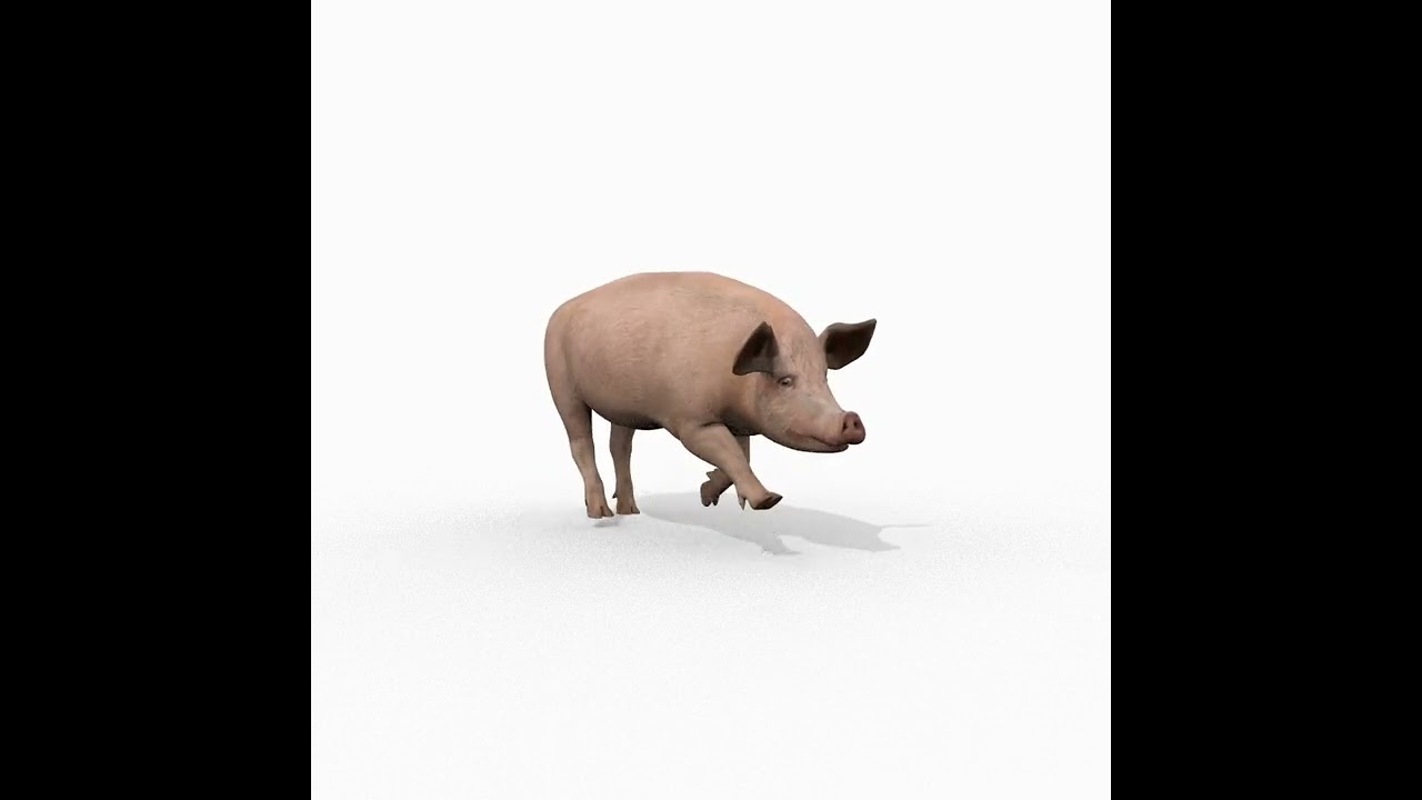 Porky the pig - animated 3d fur model 3D Model