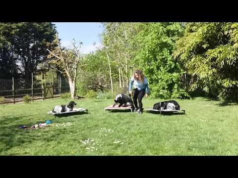 Boundary Games — Training Academy 수강 후