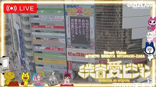 Miyamasuzaka crossing