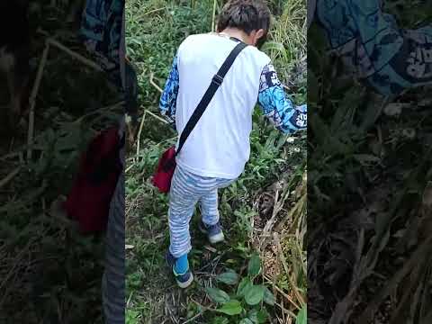 Caminata Occidente - Pauna BOYACA @SIMONJAVIERMONROYMORENO 