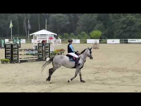 Showvideo