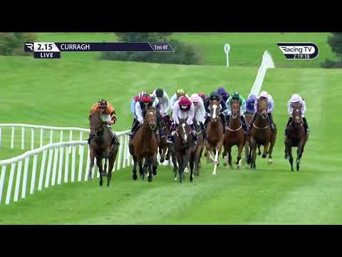 The Hollywoodbets Now Streaming All Irish Racing Maiden - Anner Castle