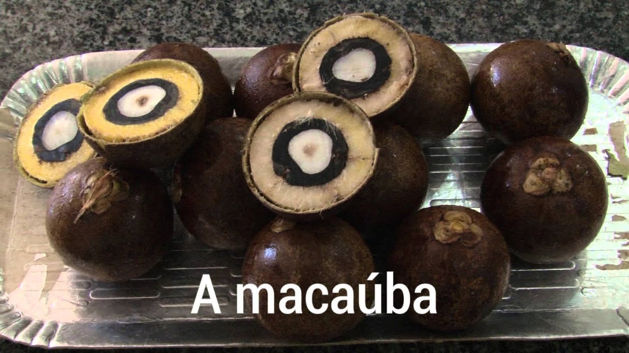 Pesquisas em agronergia ganham prêmio da Fapemig 2015
