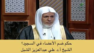 صورة أ.د. علي الشبل | حكم ضم الأعضاء في السجود