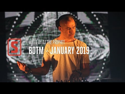 Best Of January 2019 mixed by DJ The Prophet