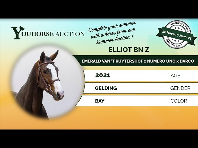 Elliot BN Z