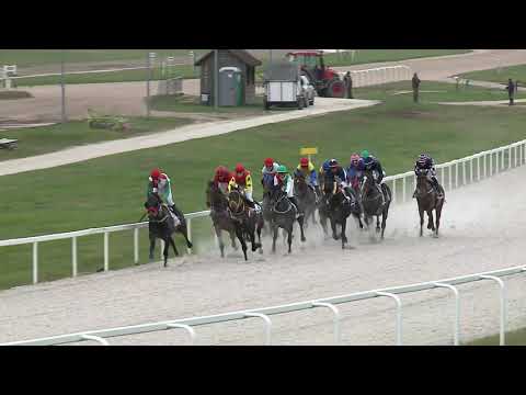 2020.11.01. 05. futam - HITEL HENDIKEP (III.o.)(szintetikus pálya)