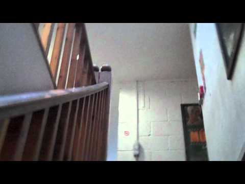 Madness live rehearsals