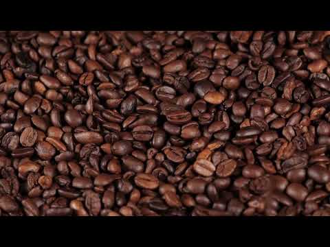Cafezal - Coffee Beans