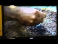 Dual Survival S5 E5
