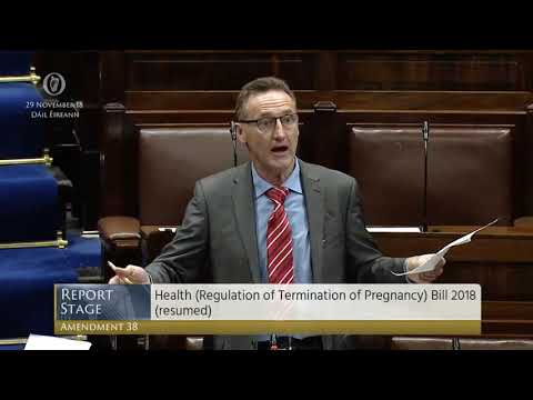 Deputy Peter Fitzpatrick - Government Business - 29.11.2018