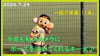 [2026.7.24] 才木投手が対巨人戦11連勝のプロ野球タイ記録達成に"あと一球"で涙を飲んだ、試合終了後のキー太＆コラッキー！ ＠阪神甲子園球場～一塁アルプス視点～【阪神タイガース】