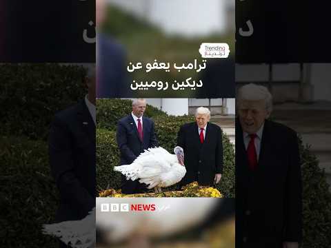 ترامب يعفو عن ديكين روميين ويسخر من الديمقراطيين نانسي بيلوسي وتشاك شومر