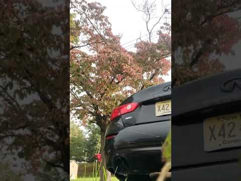 2017 Q50 3.0t Invidia Gemini cat back cold start, idle, and revs