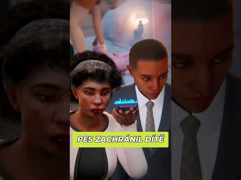 Pes zachránil dítě #pandaaashorts #shorts #zajimavosti zajímavosti a fakta | edukativní video