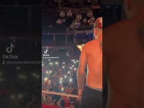 Le mandamos Cumbia perro 🎶🎼