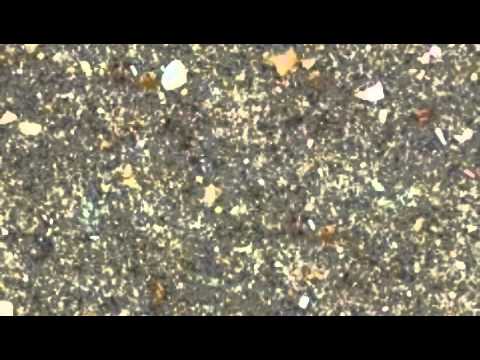 Paul Kalkbrenner vs Nein Mann by DJ Doppel Ká