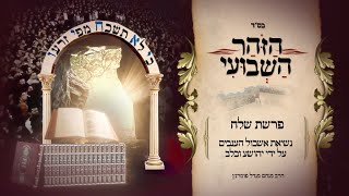 הרב מנחם מנדל פומרנץ | הזוהר השבועי - פרשת שלח תשפ"ד • נשיאת אשכול הענבים על ידי יהושע וכלב •