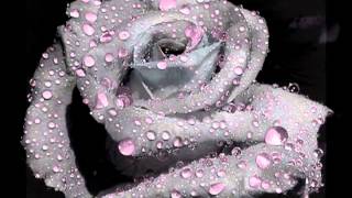 And She Cries ~ Julian Lennon (Fan Video)