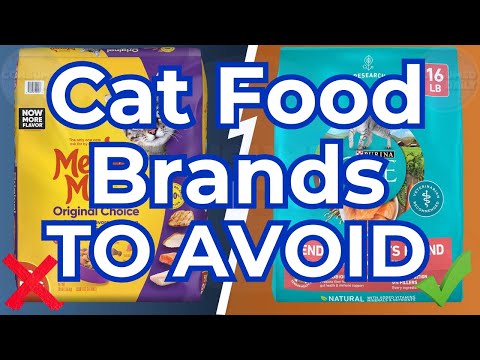 10 Cat Food Brands To AVOID At All COSTS! (And The Few That Are Safe!)