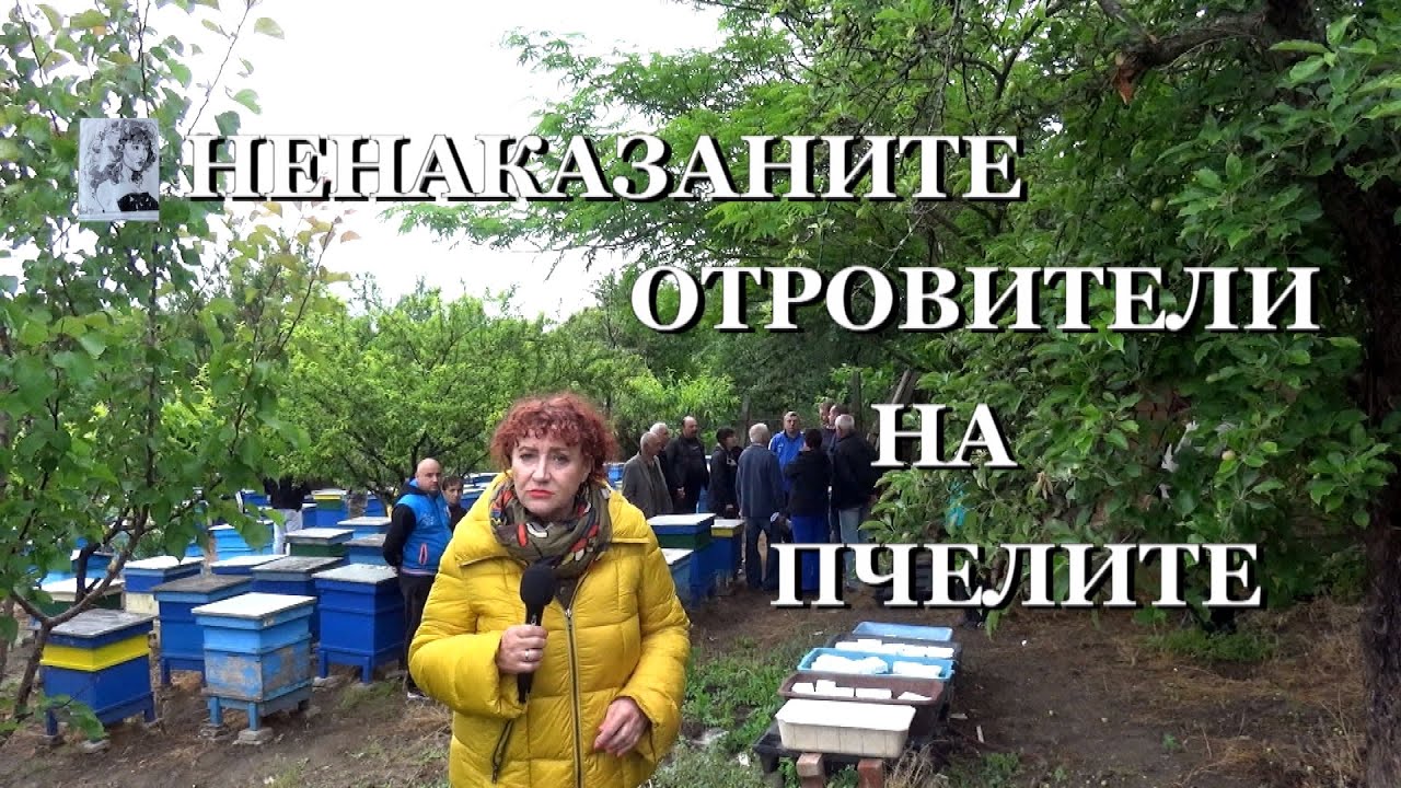 Ненаказаните отровители на пчелите