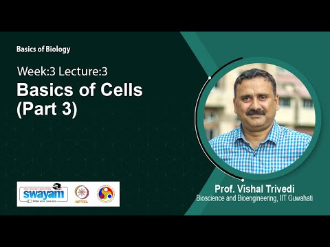 Basics of Biology Intro Video