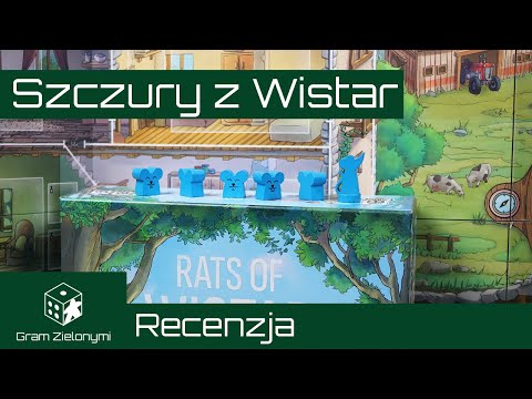 Szczury z Wistar - recenzja | Rats of Wistar