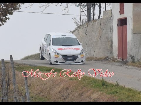 1° Rally del Piemonte Città di Dogliani 2015