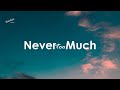 Luther Vandross Never Too Much Lyrics