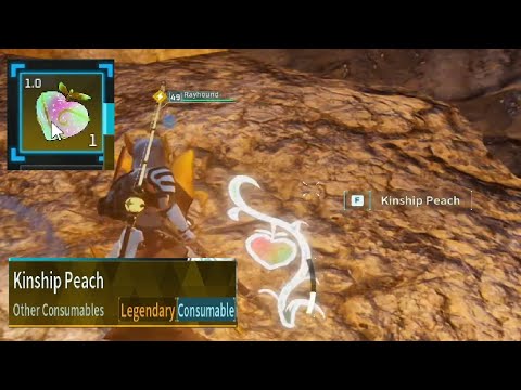 I found my first Kinship Peach on the Isle of Decayed Treasure and it was very nice and peachy