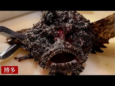 [Sushi en Hakata] ¡No te puedes perder este lugar! ¡Todos los platos preparados a mano son muy populares! ! "Isogiyoshi" Stonefish, Grunt, Tilefish/el mejor restaurante de sushi de Hakata