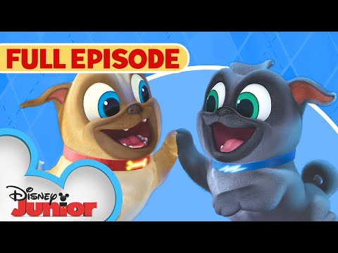 Hawaii Pug-Oh / A.R.F. | Full Episode | Puppy Dog Pals | Disney Junior