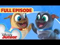 Hawaii Pug-Oh 🏝️ / A.R.F. 🐶 | S1 E1 | Full Episode | Puppy Dog Pals | @Disney Junior