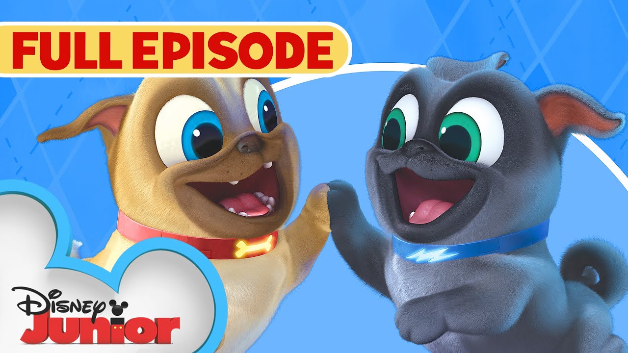 Puppy Dog Pals First Full Episode 🐶 | Hawaii Pug-Oh 🏝️ / A.R.F. | @disneyjr​