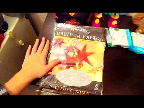 ПОДСТРИГЛИ ЙОРКОВ! 29.12.20