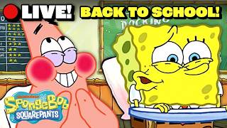 🔴 LIVE: SpongeBob's Funniest Boating School Moments 🛳️ | SpongeBob Live TV