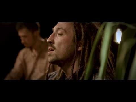 beda mit palme - es is egal