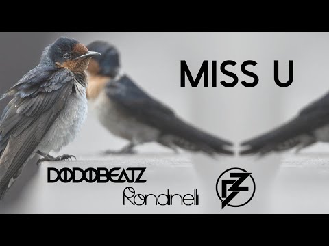 Dodobeatz, Rondinelli featuring Bibiane Z. - Miss U  (Mini Clip Mix)