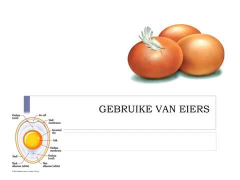 Gasvryheidstudie GRAAD 10: 23 April 2020 - periode 3 (23103)