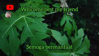 Download lagu Motivasi Bersyukur - Bersyukur untuk Kebahagian mp3