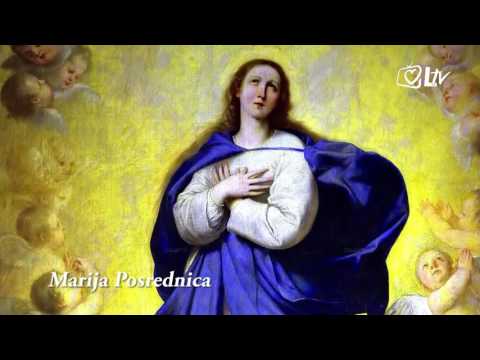 Katolički kalendar 8.5.2017. - Marija Posrednica